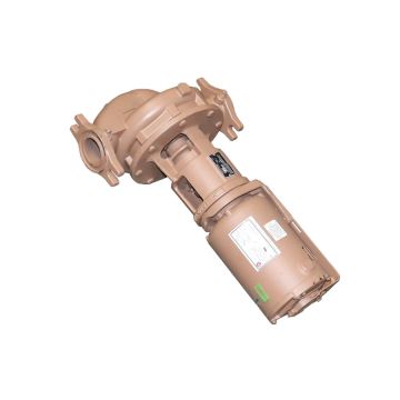 Raypak 018787F 115V Inline Pump