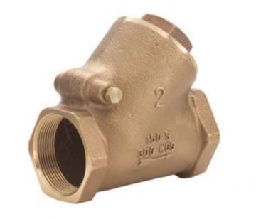Legend 105-308 2 inch Y-Pattern Check Valve