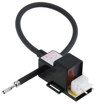 Rheem RTG20164U Ignitor Coil