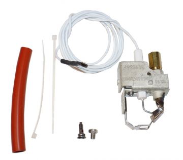 Raypak 002003F Pilot Assembly 053-406 E10