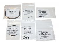 Raypak 012441F O-Ring Gaskets