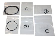 Raypak 012441F O-Ring Gaskets