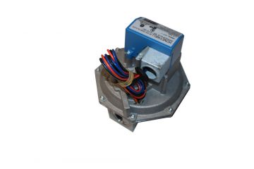 Raypak 601094 Gas Valve 2-Stage Combination