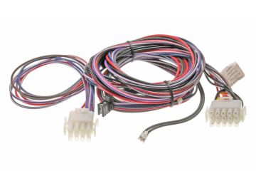 Rheem 45-102706-29 Wiring Harness