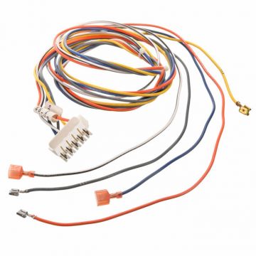 Rheem 45-107000-03 Wiring Harness