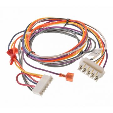 Rheem 45-107000-07 Wiring Harness