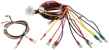Rheem 45-26262-53 Wiring Harness