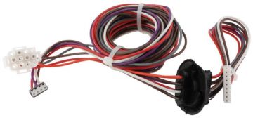 Rheem 45-42522-100 Wiring Harness