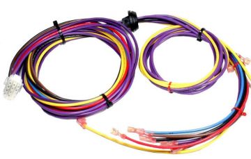 Rheem 45-42522-11 Wiring Harness