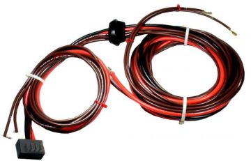 Rheem 45-42522-14 Wiring Harness