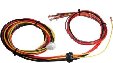 Rheem 45-42522-20 Wiring Harness