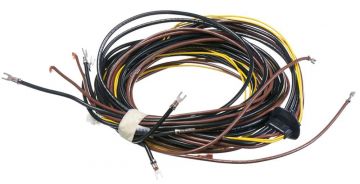 Rheem 45-42522-73 Wiring Harness