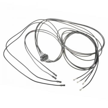 Rheem 45-42522-87 Wiring Harness