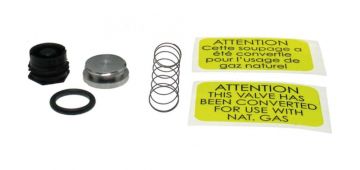 Rheem 60-23430-01 Gas Valve Spring Kit